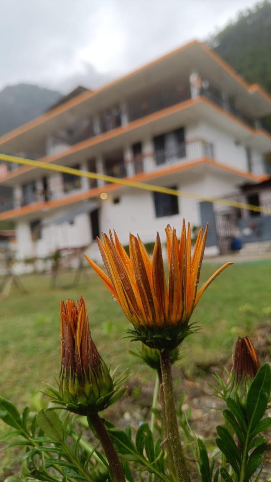 Himtrek Stay Kasol Bagian luar foto
