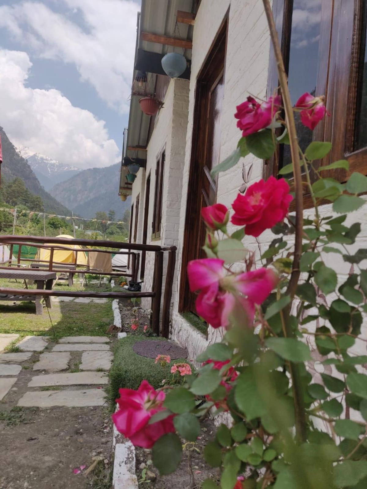 Himtrek Stay Kasol Bagian luar foto