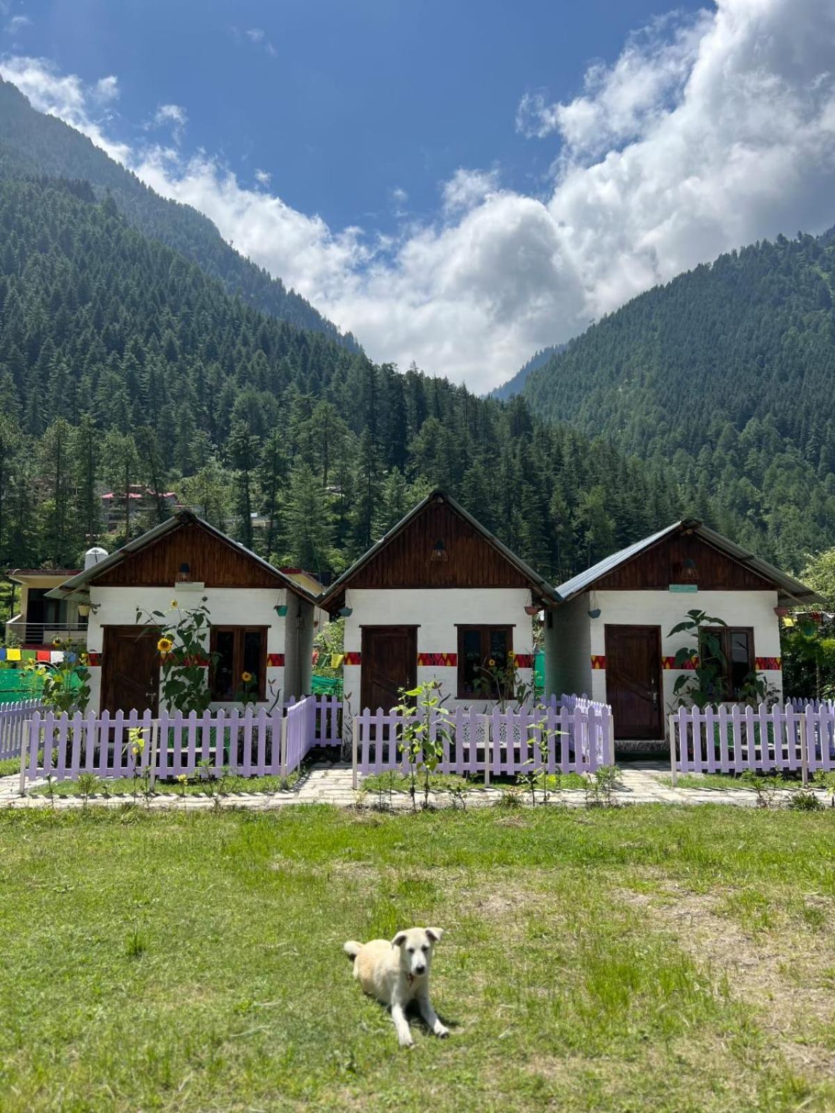 Himtrek Stay Kasol Bagian luar foto