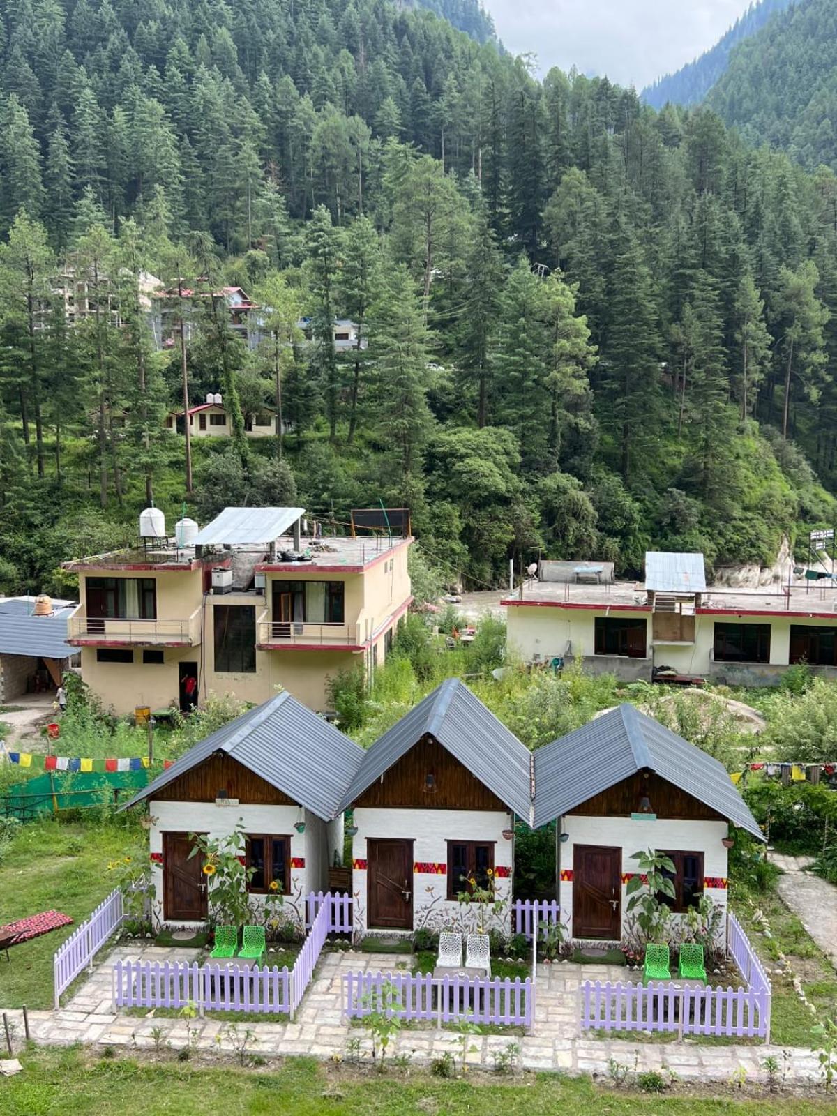 Himtrek Stay Kasol Bagian luar foto