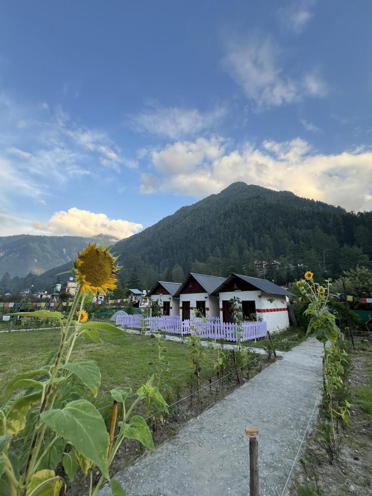 Himtrek Stay Kasol Bagian luar foto