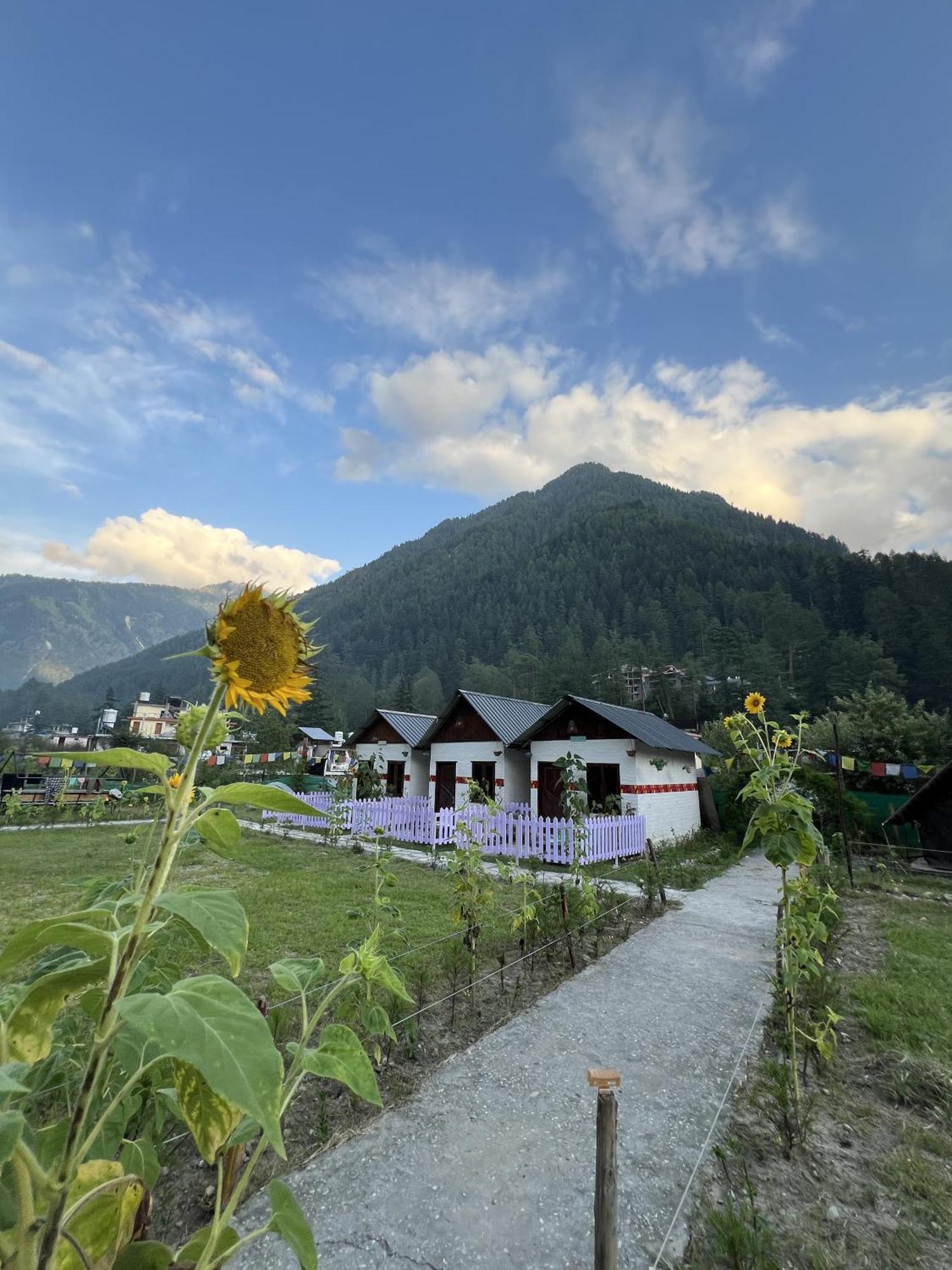 Himtrek Stay Kasol Bagian luar foto